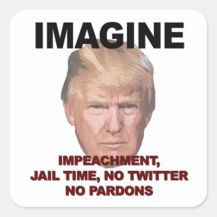 Stel je voor: Impeachment, Jail, Geen Twitter, gee Vierkante Sticker