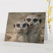 Stel stokstaartjes kaart (Gele Bloem)