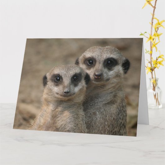 Stel stokstaartjes kaart (Gele Bloem)