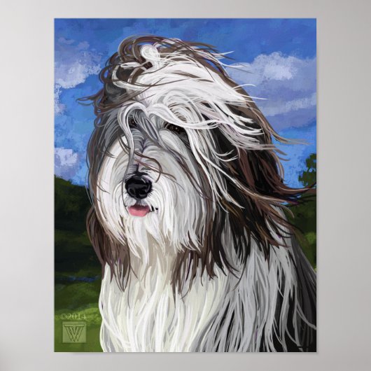 Stella de Engelse schaapshond Poster (Voorkant)