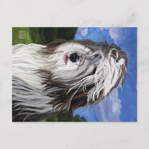 Stella de Engelse Sheep Dog Briefkaart