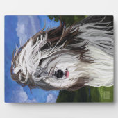 Stella de Engelse Sheep Dog Fotoplaat (Voorkant)