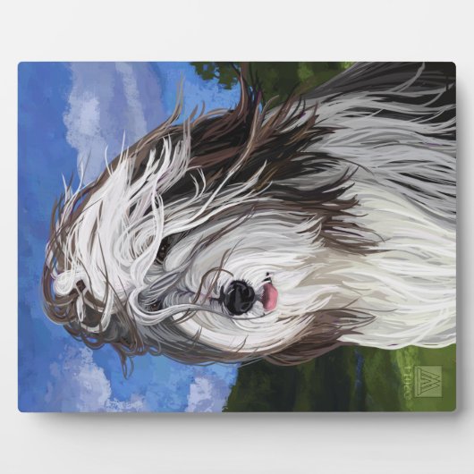 Stella de Engelse Sheep Dog Fotoplaat (Voorkant)