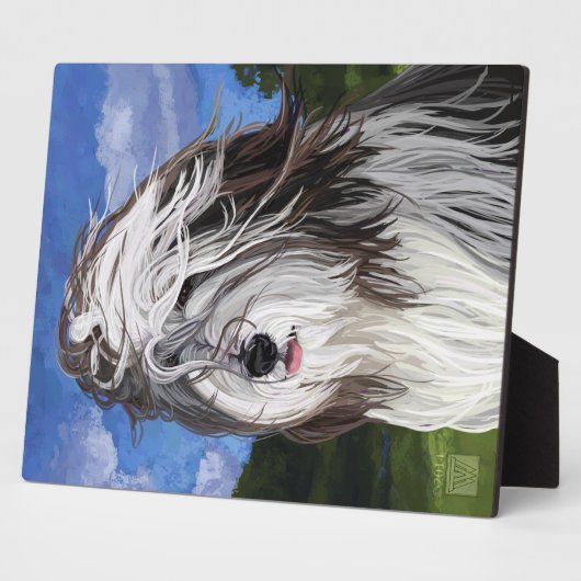 Stella de Engelse Sheep Dog Fotoplaat (Zijkant)