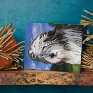 Stella de Engelse Sheep Dog Fotoplaat