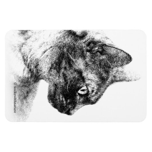 Stella de Grijze Kat Magneet (Horizontaal)