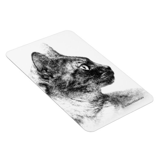 Stella de Grijze Kat Magneet (Rechterzijde)