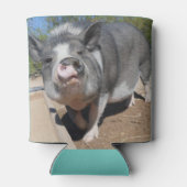 Stella en Felecia Koelbox Blikjeskoeler (Achterkant)