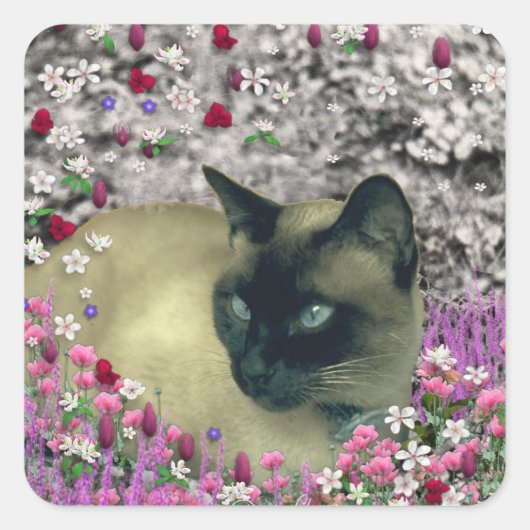 Stella in Bloemen I - Chocolade Crème Siamese Kat Vierkante Sticker (Voorkant)