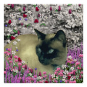 Stella in Flowers I, Chocolade & Cream Siamese Cat Poster (Voorkant)