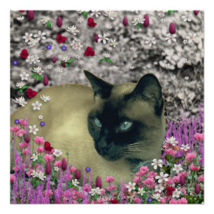 Stella in Flowers I, Chocolade & Cream Siamese Cat Poster