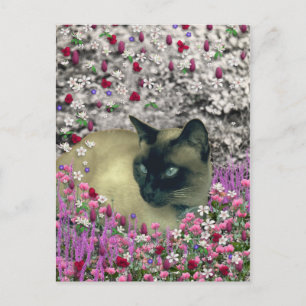 Stella in Flowers I - Chocolate Cream Siamese Cat Briefkaart