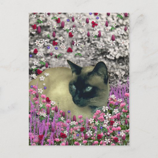 Stella in Flowers I - Chocolate Cream Siamese Cat Briefkaart (Voorkant)