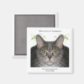 Stella Promo Magneet (Voorkant / Achterkant)