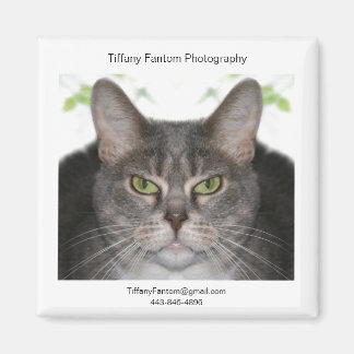 Stella Promo Magneet