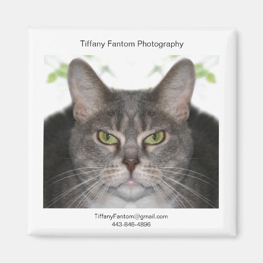 Stella Promo Magneet (Voorkant)