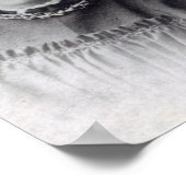 Stella, Vanessa en Virginia Stephen, c.1896 Poster (Hoek)