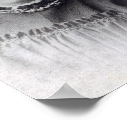 Stella, Vanessa en Virginia Stephen, c.1896 Poster (Hoek)