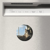 Stella venstermagneet magneet (Insitu (Vaatwasser))