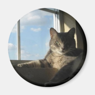 Stella venstermagneet magneet