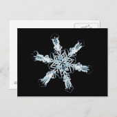 Stellair sneeuwkristal briefkaart (Voorkant / Achterkant)