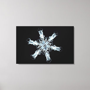 Stellair sneeuwkristal canvas afdruk