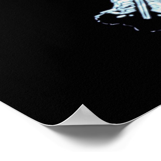 Stellair sneeuwkristal poster (Hoek)