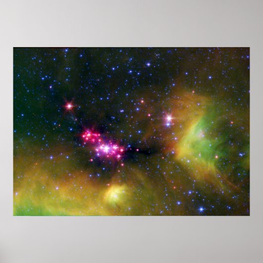 Stellar Babies Poster (Voorkant)