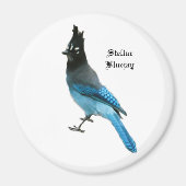 Stellar Blue Jay magnet (Voorkant)