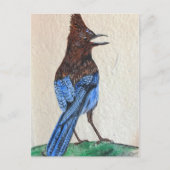 "Stellar" Briefkaart (Voorkant)