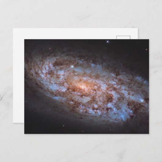 Stellar Forge Briefkaart (Voorkant / Achterkant)