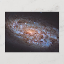 Stellar Forge Briefkaart