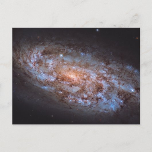 Stellar Forge Briefkaart (Voorkant)