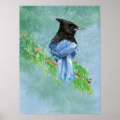 Stellar Jay Bird Boerderij Rustieke Country Art Poster (Voorkant)
