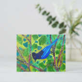 Stellar Jay Briefkaart (Staand voorkant)