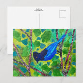 Stellar Jay Briefkaart (Voorkant / Achterkant)