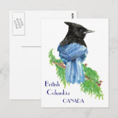 Stellar Jay, British Columbia, Bird, Natuur Briefkaart (Voorkant / Achterkant)