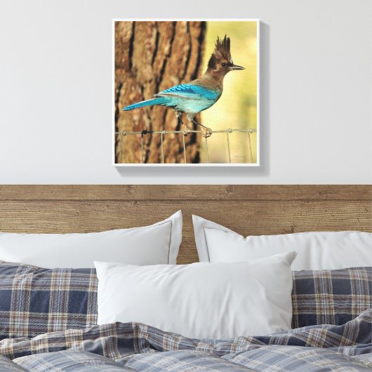 Stellar Jay Canvas Afdruk (Insitu (Slaapkamer))