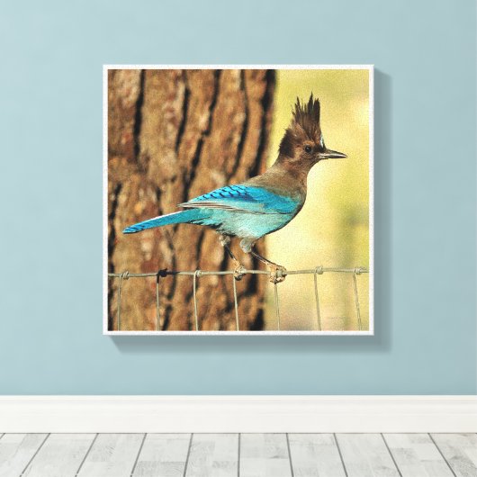 Stellar Jay Canvas Afdruk (Insitu (Houten vloer))