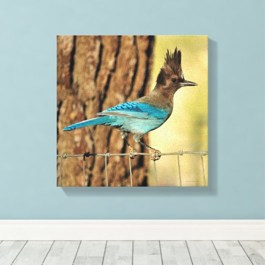 Stellar Jay Canvas Afdruk (Insitu (Houten vloer))
