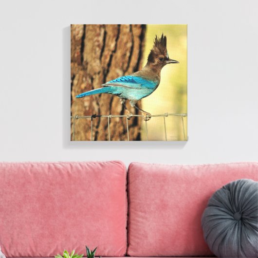 Stellar Jay Canvas Afdruk (Insitu (Woonkamer))