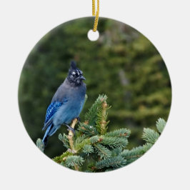 "Stellar Jay" Keramisch Ornament