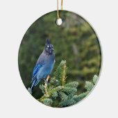 "Stellar Jay" Keramisch Ornament (Links)