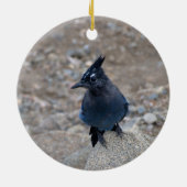 "Stellar Jay" Keramisch Ornament (Achterkant)