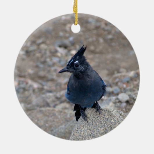 "Stellar Jay" Keramisch Ornament (Achterkant)
