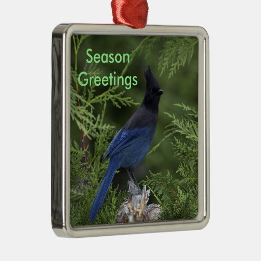 Stellar Jay kerst ornament (Rechts)