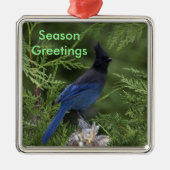 Stellar Jay kerst ornament (Voorkant)