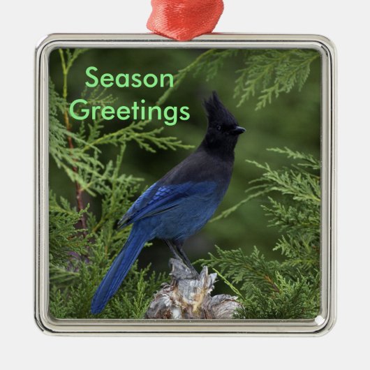 Stellar Jay kerst ornament (Voorkant)