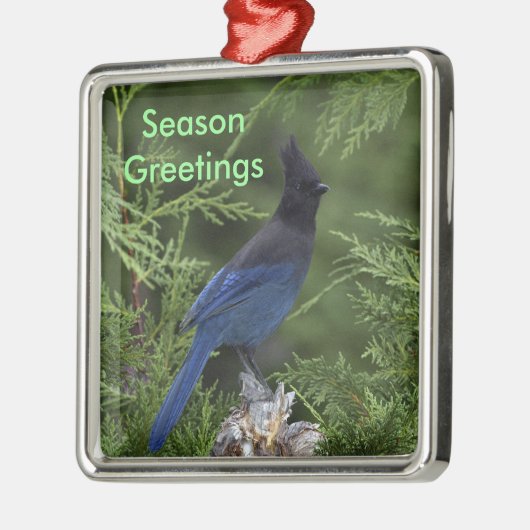 Stellar Jay kerst ornament (Links)
