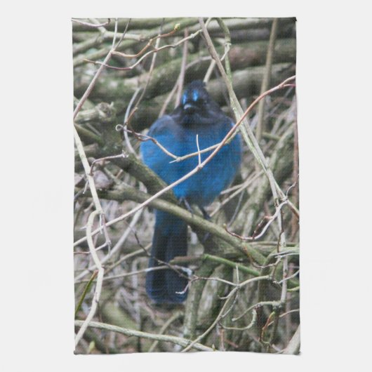 STELLAR JAY THEEDOEK (Verticaal)